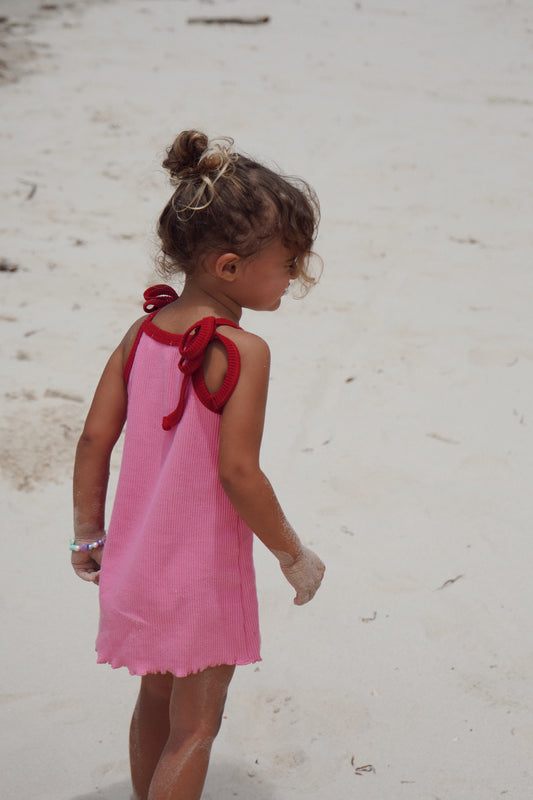 Mini Ribbed Dress - Red/Pink